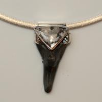 Bull Nose Shark Tooth, Inclusionary Quartz and Sterling Silver Pendant